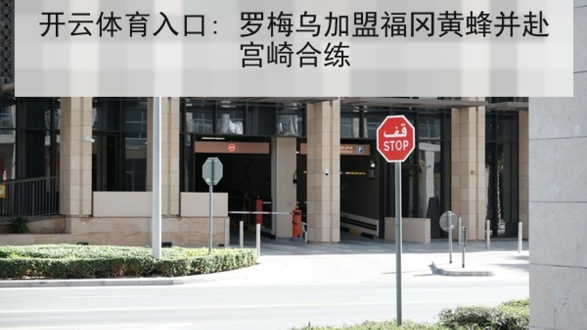 开云体育入口: 罗梅乌加盟福冈黄蜂并赴宫崎合练