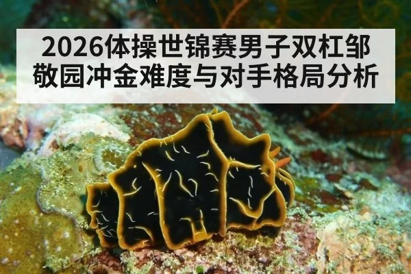 2026体操世锦赛男子双杠邹敬园冲金难度与对手格局分析
